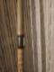 Mark Moore Custom Pool Cue